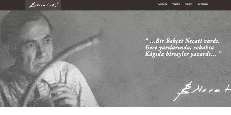 Yazar, Şair Sitesi